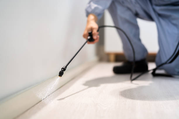 Bed Bug Pre-Treatment Preparation Assessment in Celina