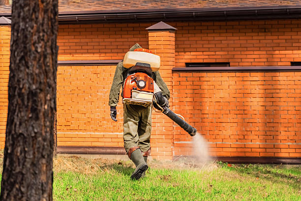 Bed Bug Clearance Verification and Documentation in Celina